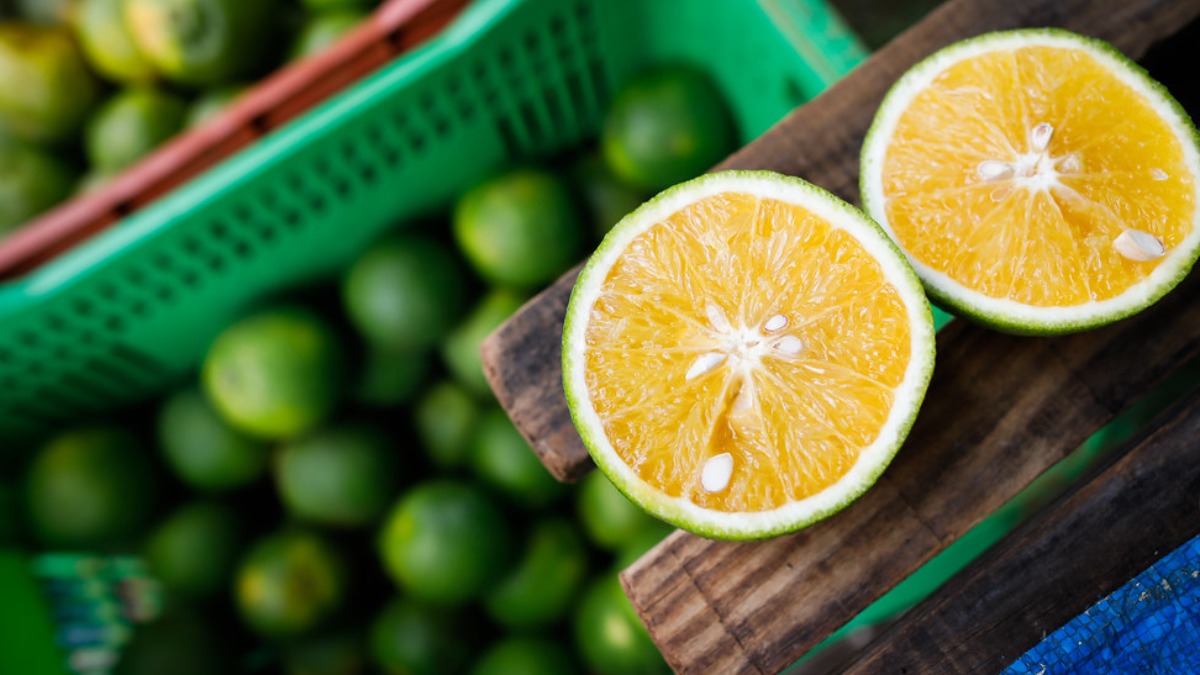 crédito rural BNDES