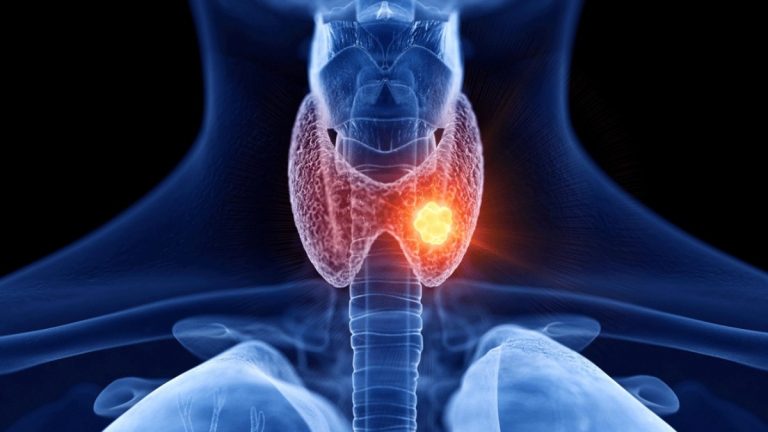 Qual a relação da glândula tireoide