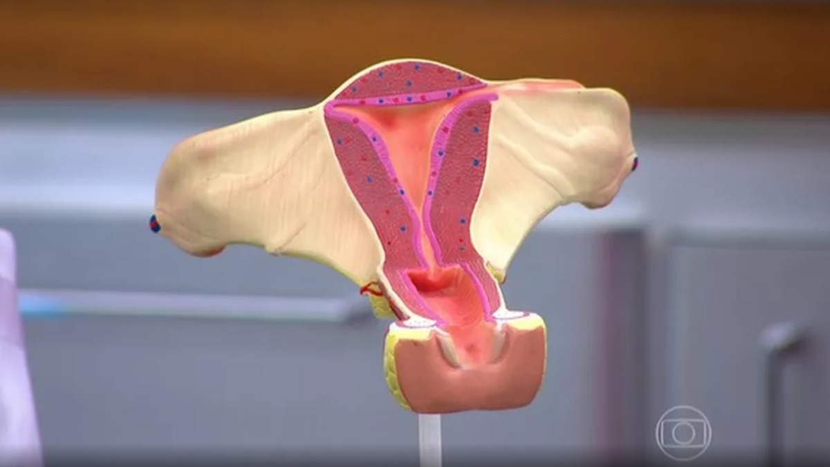 câncer aparelho reprodutor