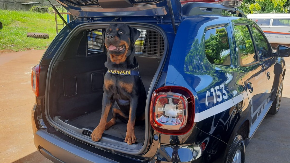 Apreensão de drogas