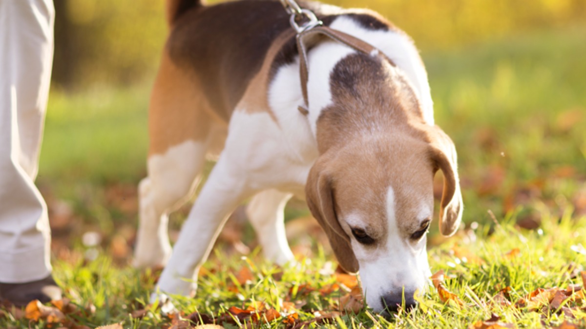 Quais fatores influenciam no tempo