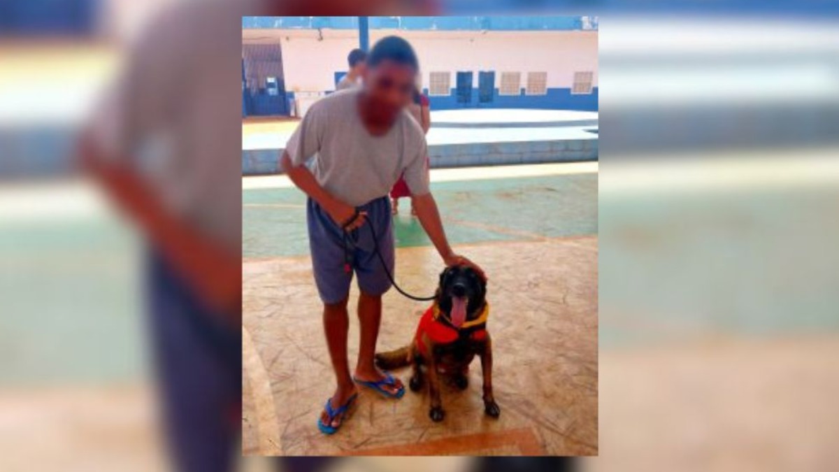 terapia assistida por animais