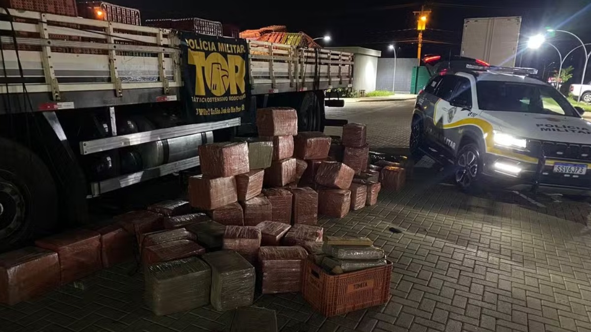 maconha Ribeirão Preto