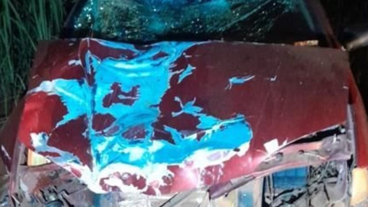 Motociclista e garupa morrem após a