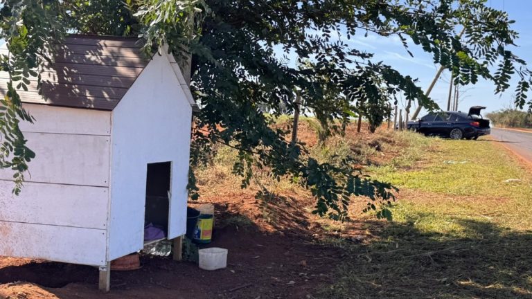 Motorista bate contra poste ao tentar