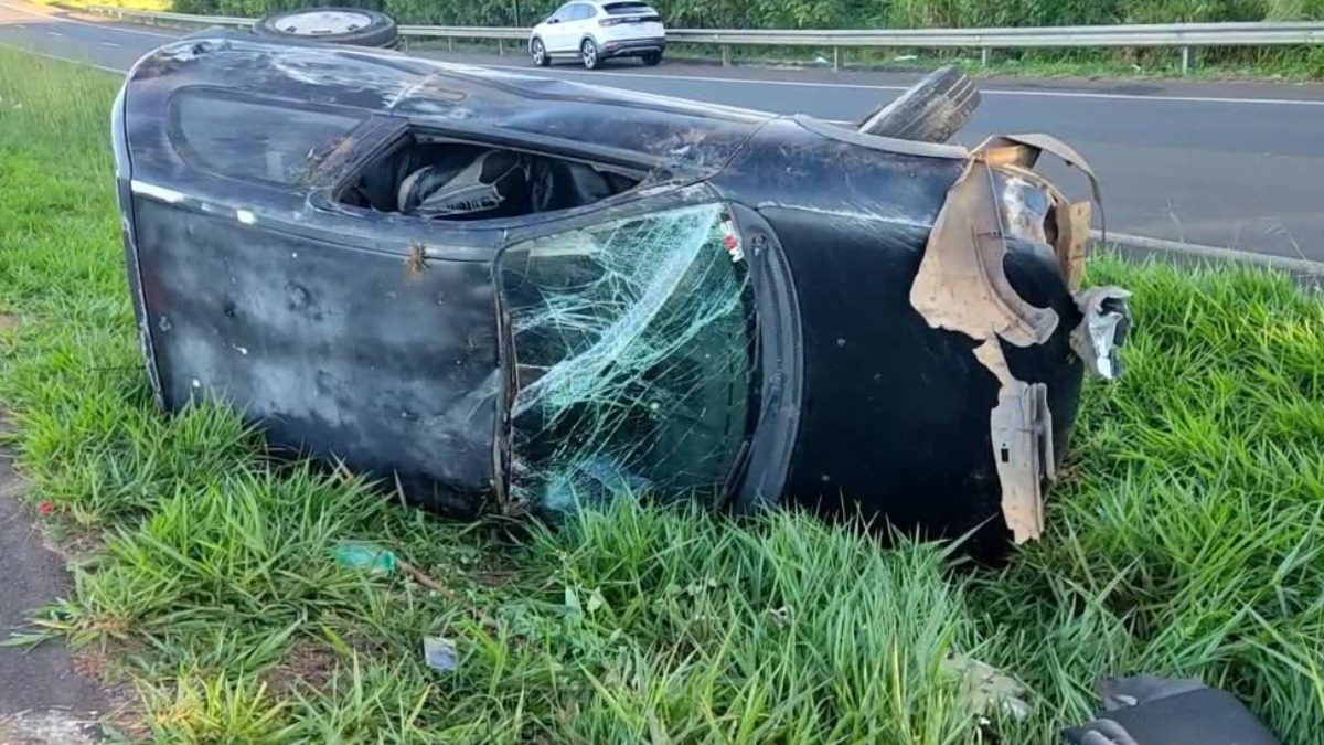 Motorista fica ferido após atropelar vaca
