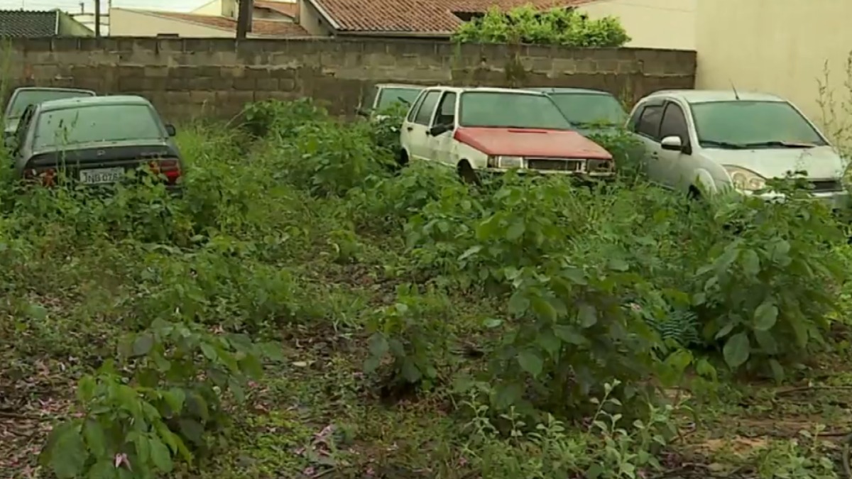 veículos apreendidos