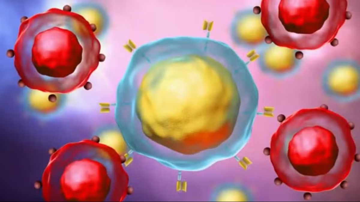 CAR-T Cell entra em última etapa antes de ser liberada para compor os tratamentos do SUS