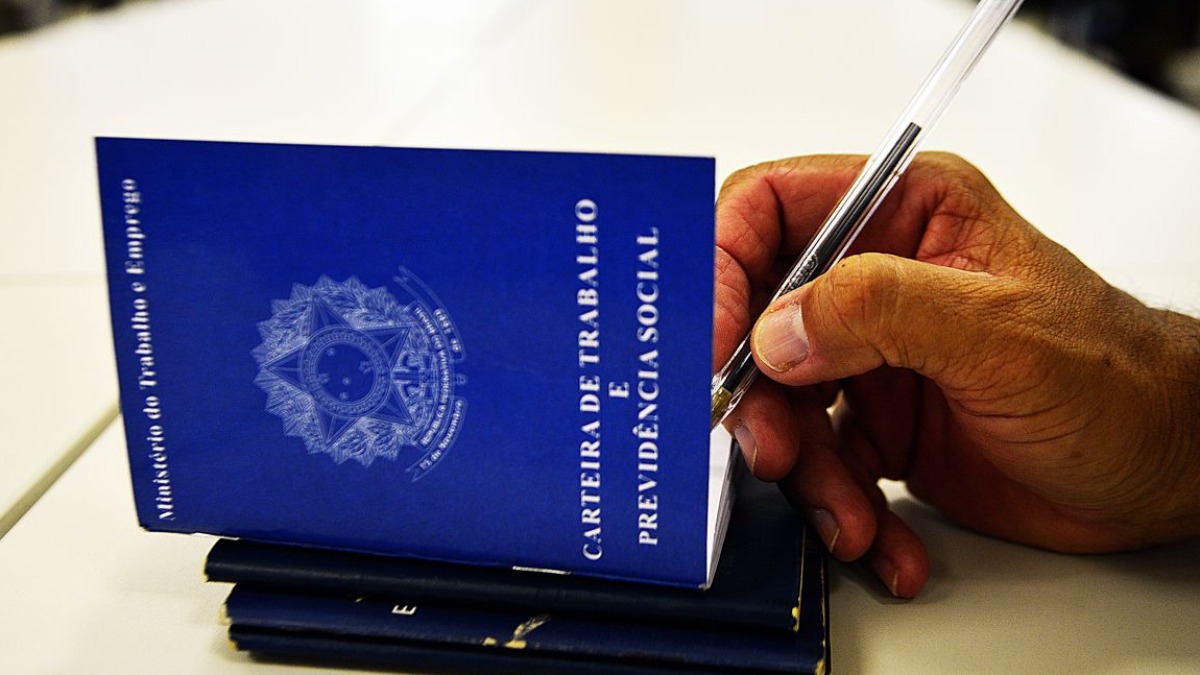 Especialista analisa o aumento da criação