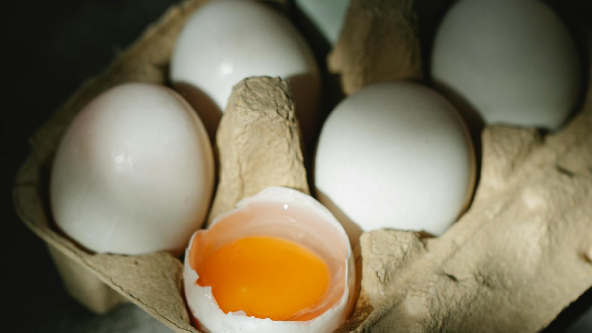 preços dos alimentos