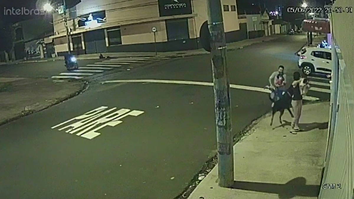 ataque de Rottweiler