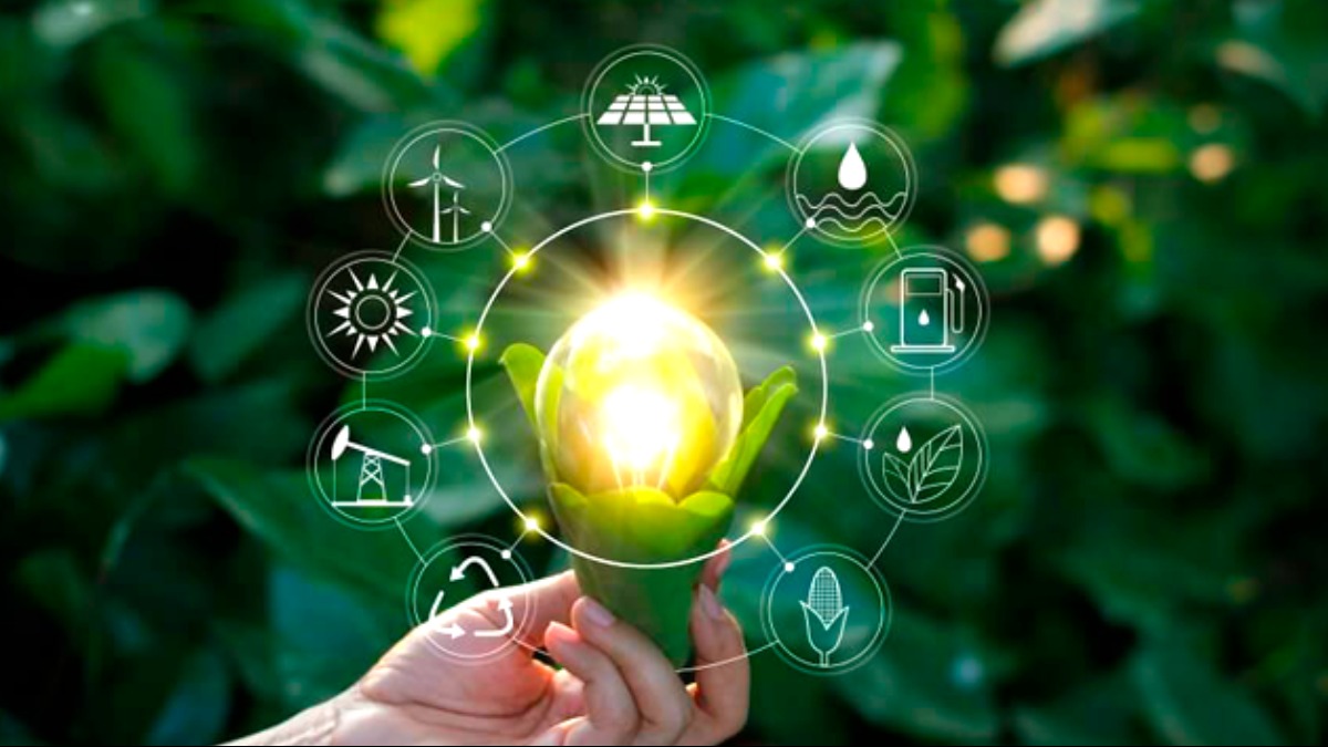 emprego e habilidades verdes