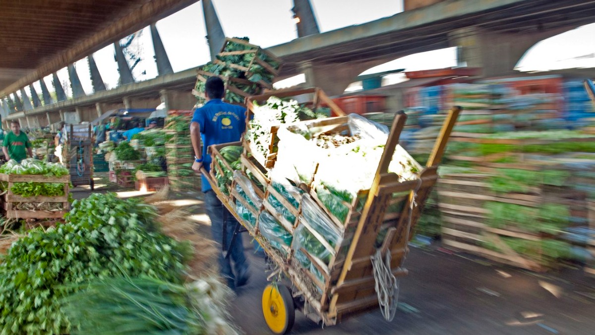 rastreabilidade de cargas
