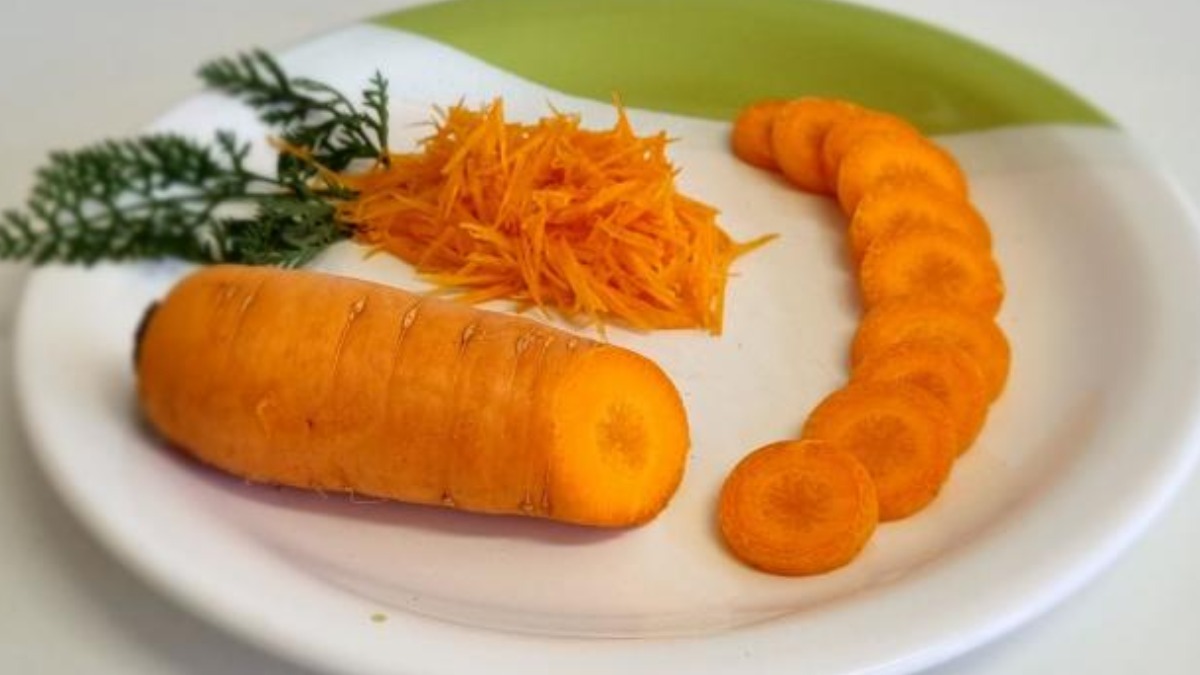 Chegada do outono favorece produção