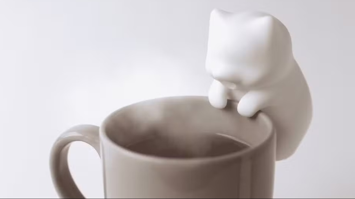 Já pensou em ter um robô