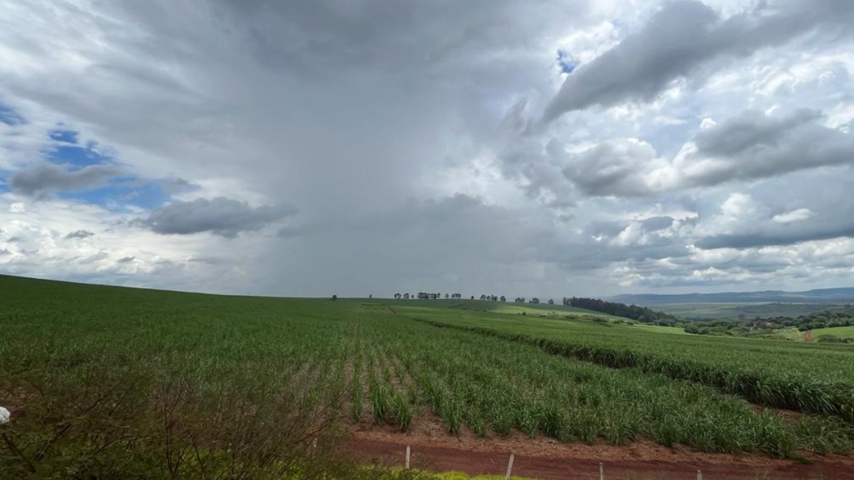 preço fertilizantes