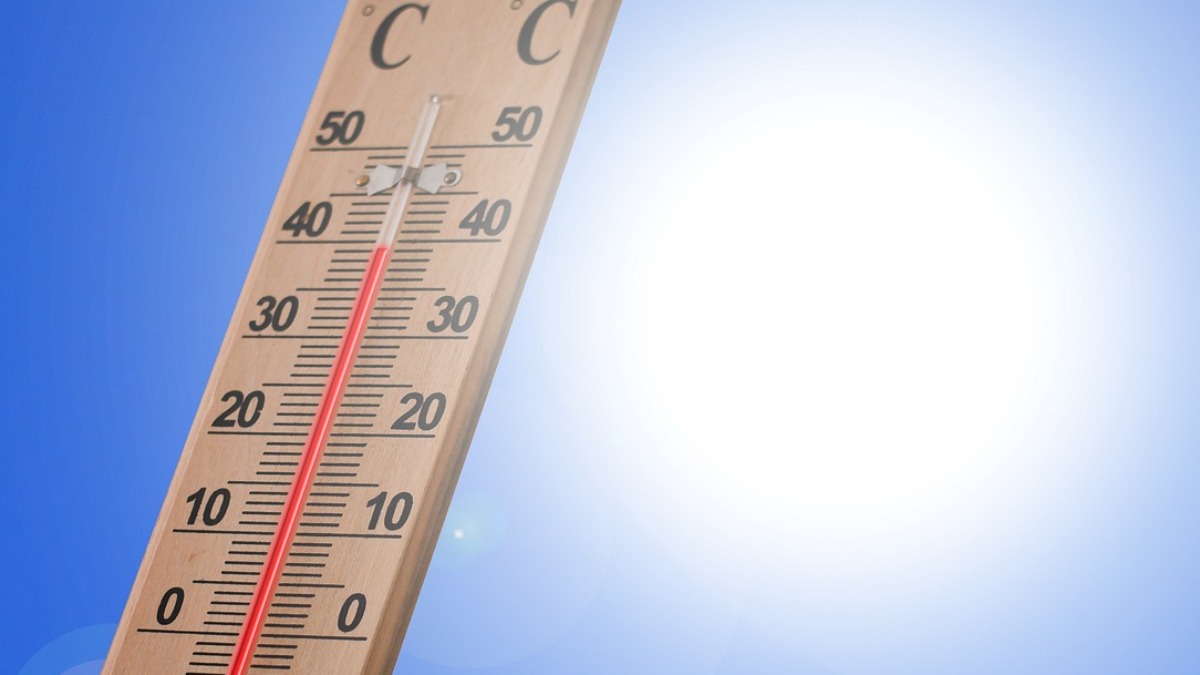 incêndios florestais