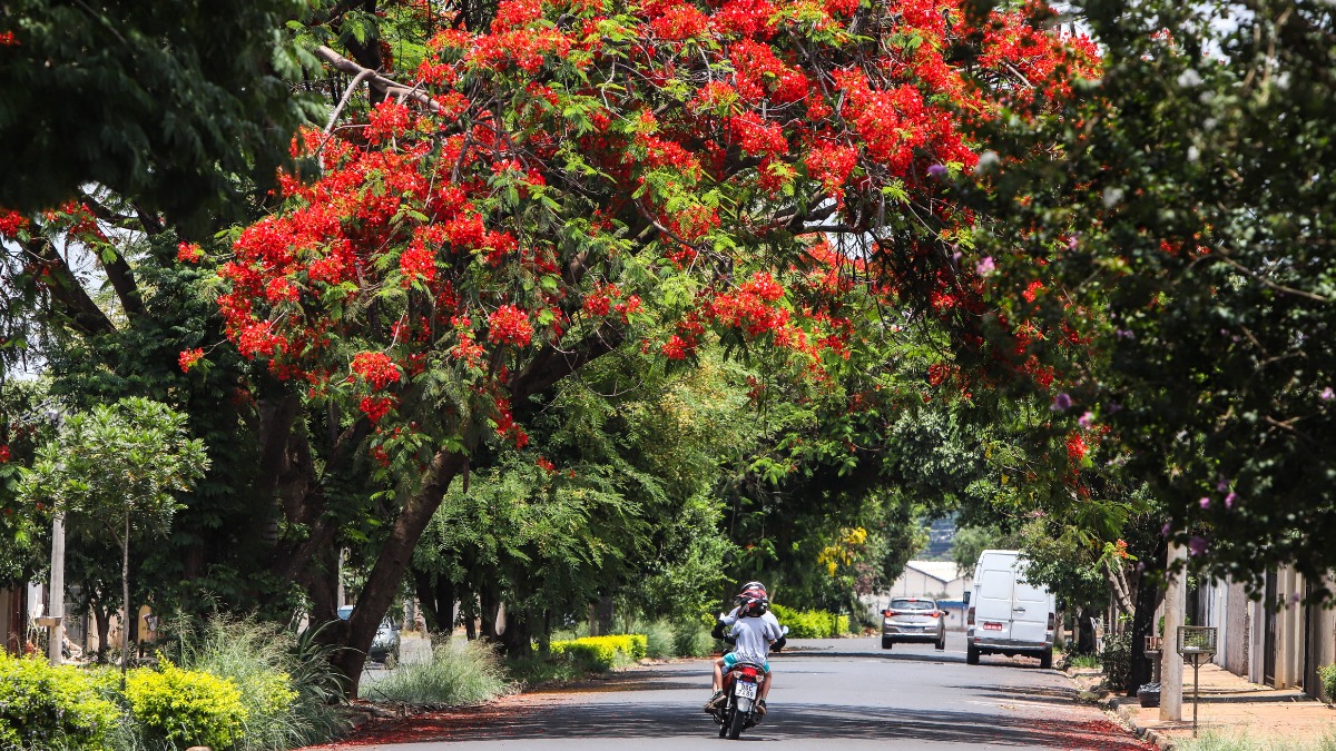 cuidados saúde primavera