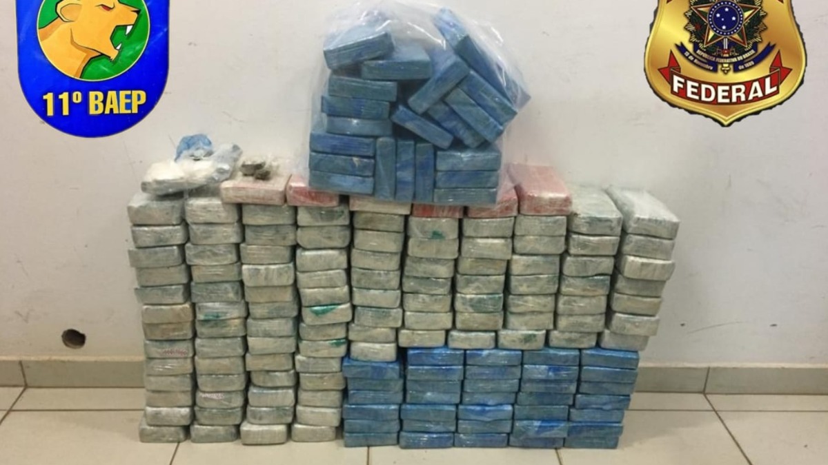 apreensão de cocaína