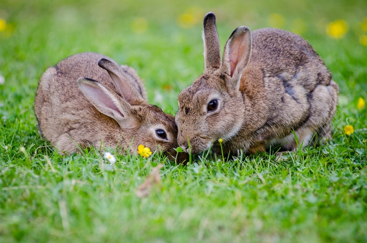 Você sabia que no período
