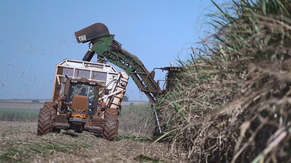 preços etanol açúcar