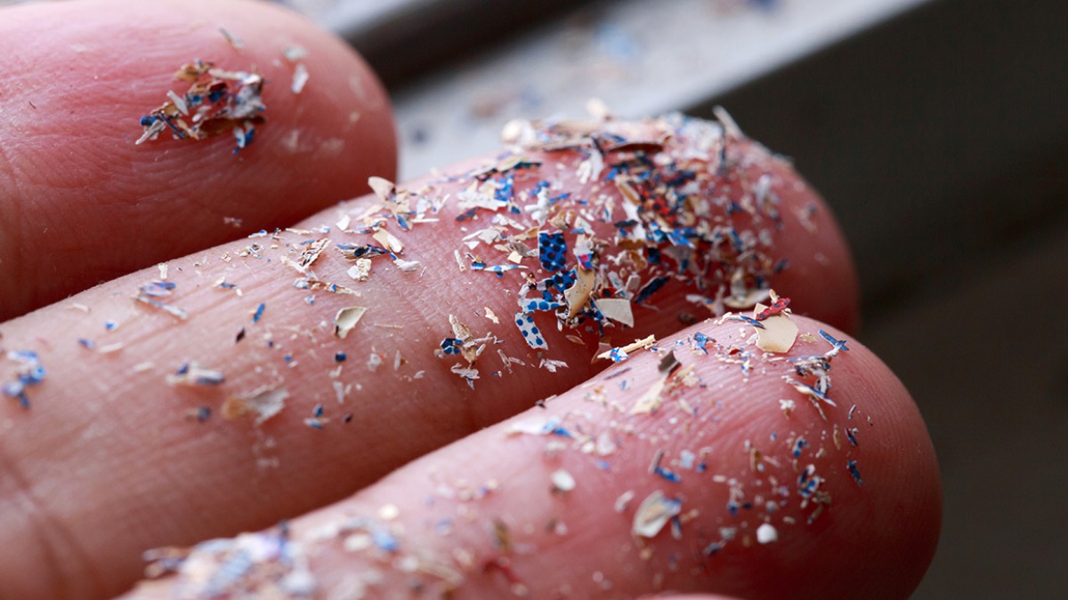 microplástico na alimentação