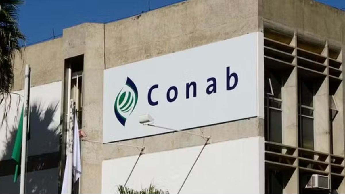 concurso público Conab