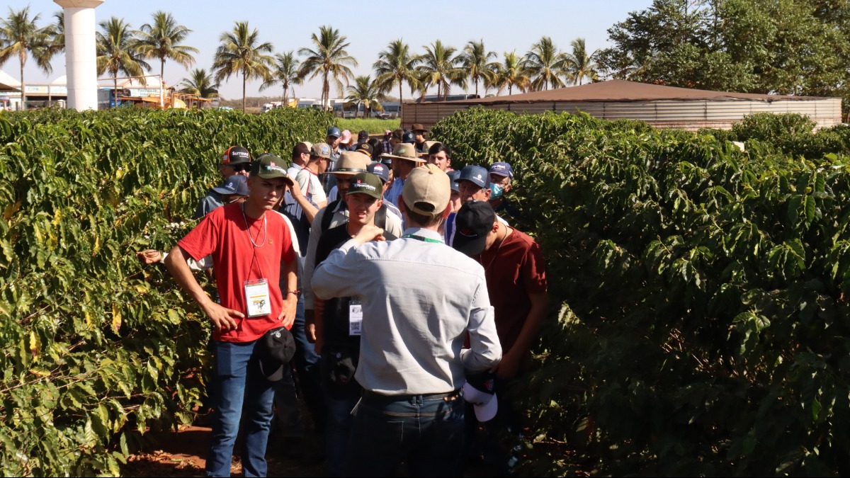 Salário agronegócio