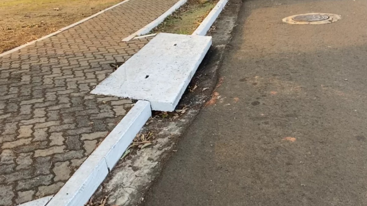 esquartejar jardineiro