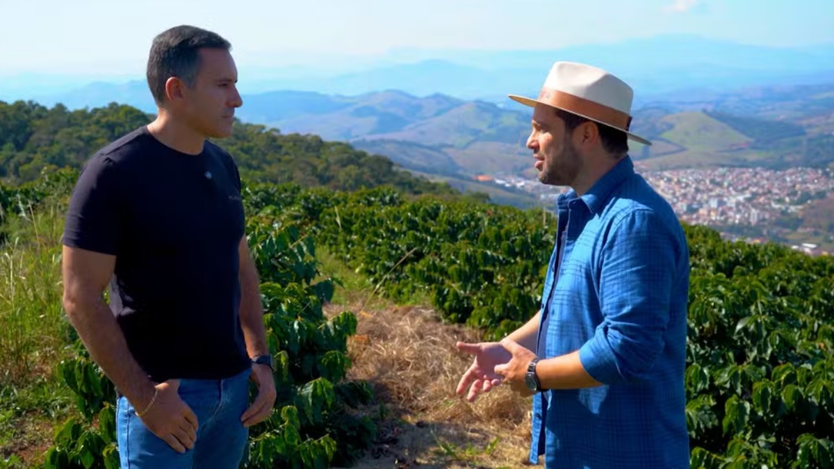 créditos de carbono