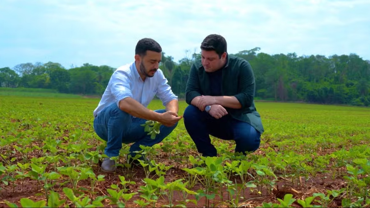 No Sudeste do Brasil