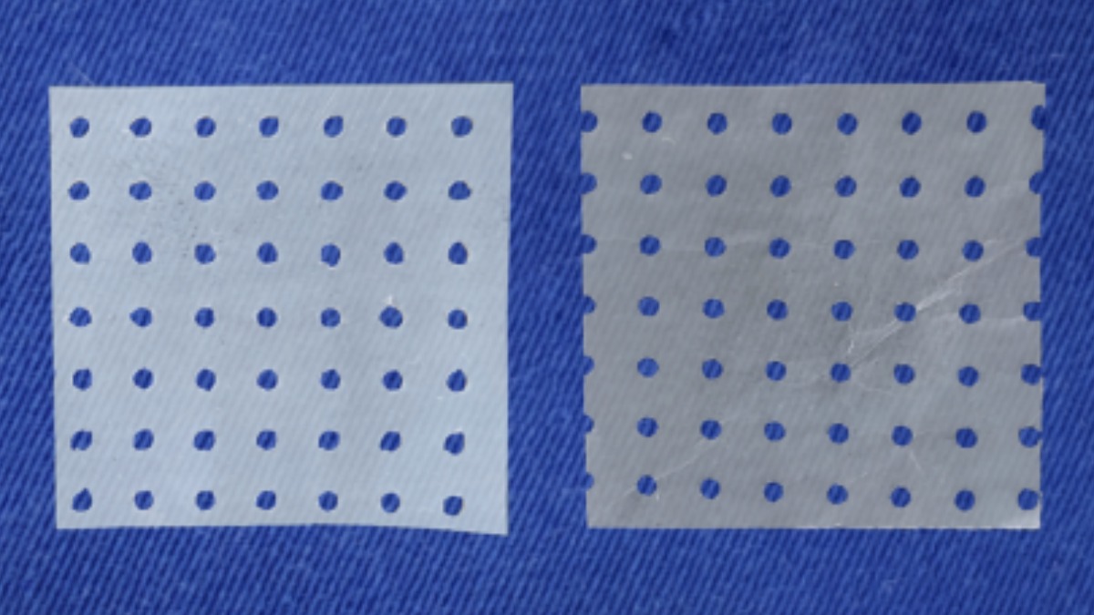 Pesquisadores de Franca e Araraquara desenvolvem