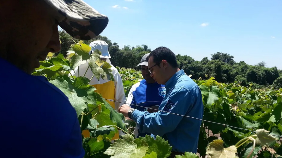 registro agrotóxicos agricultores
