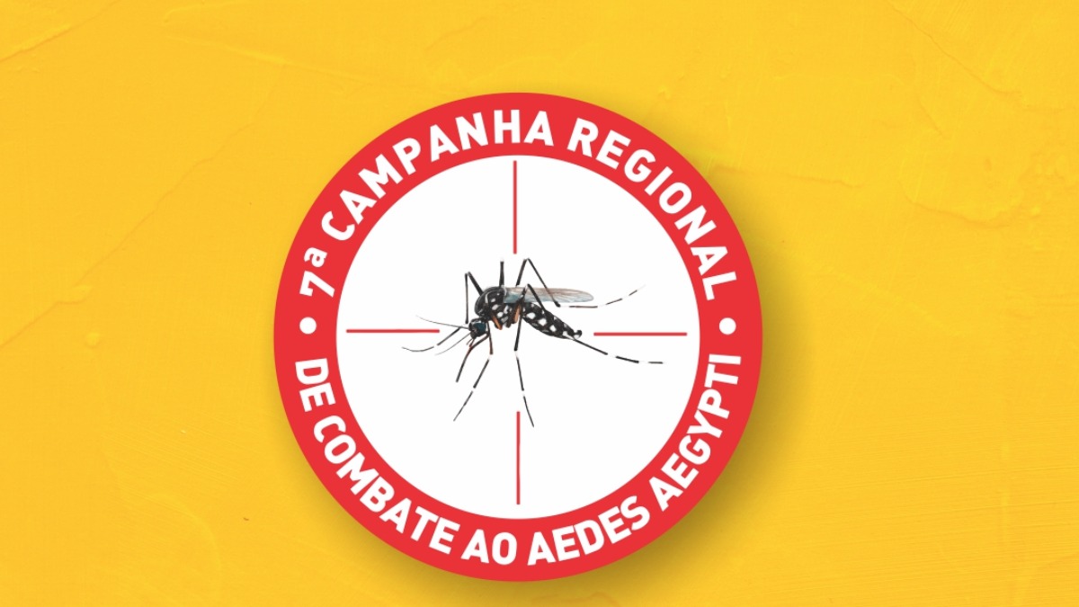 Dia D Contra a Dengue