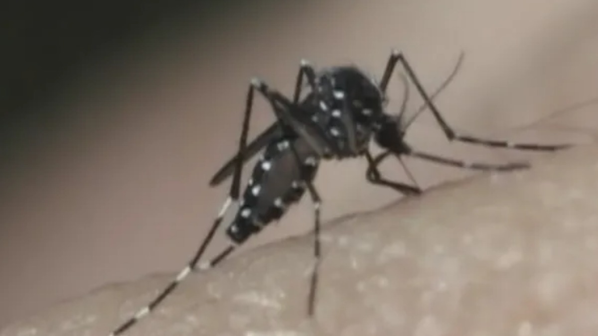 Aumento nos casos de dengue preocupa