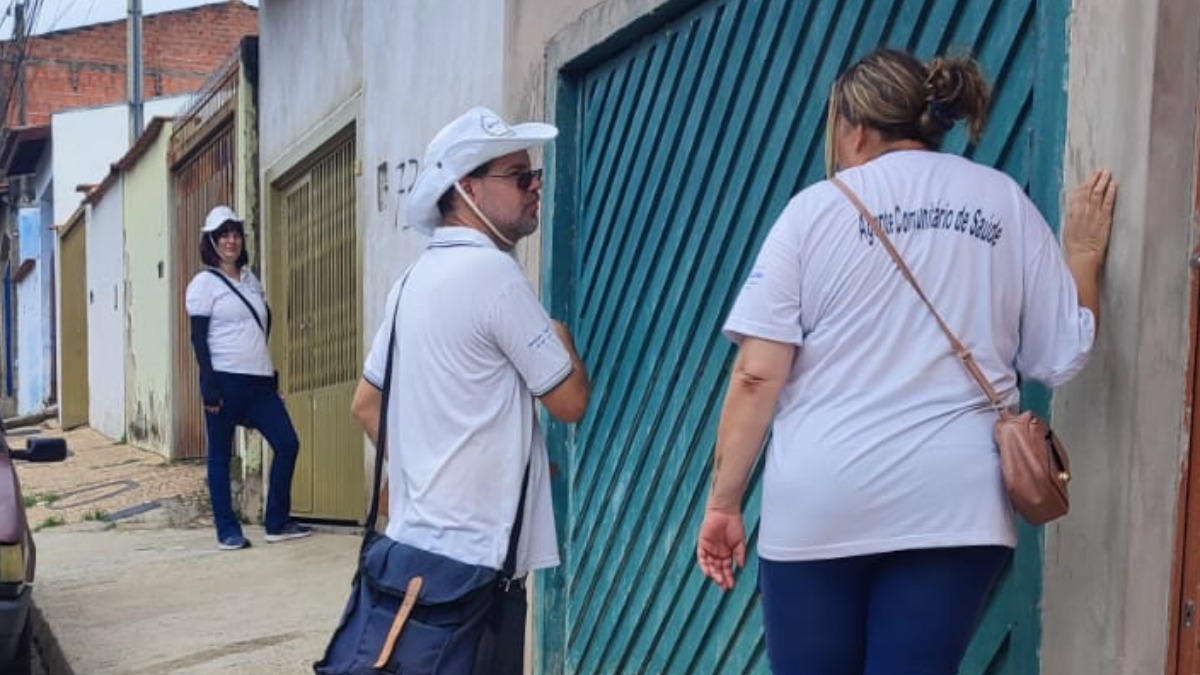 criadouros de dengue