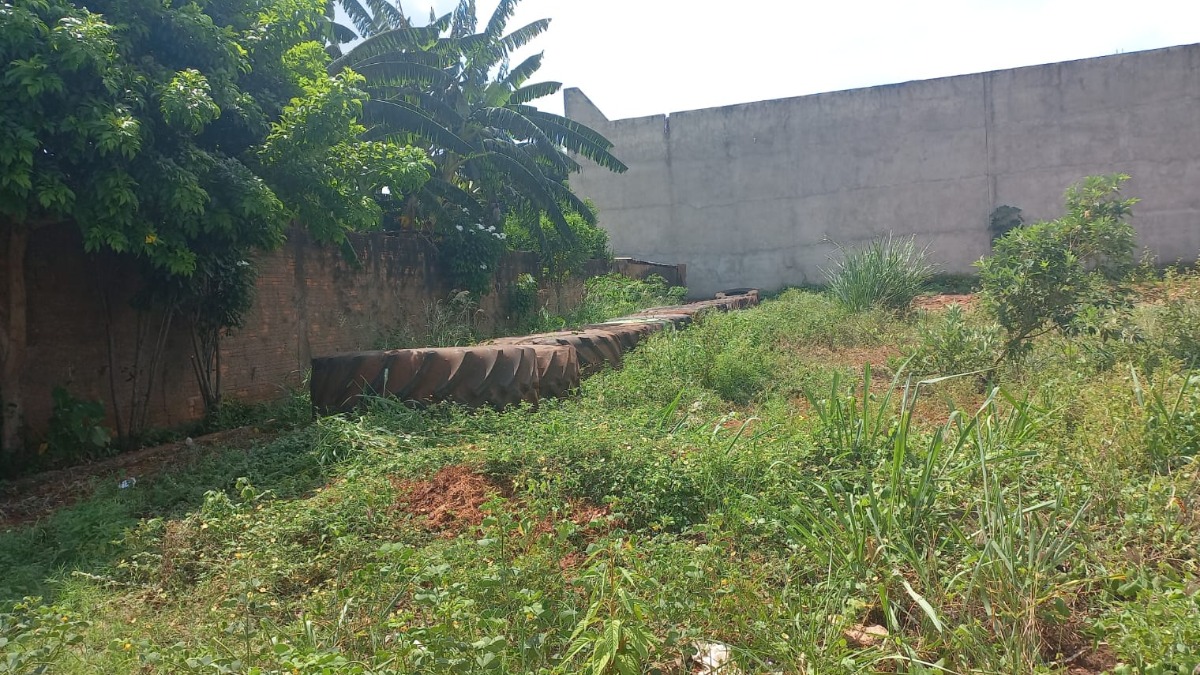 Quais as punições que podem ser