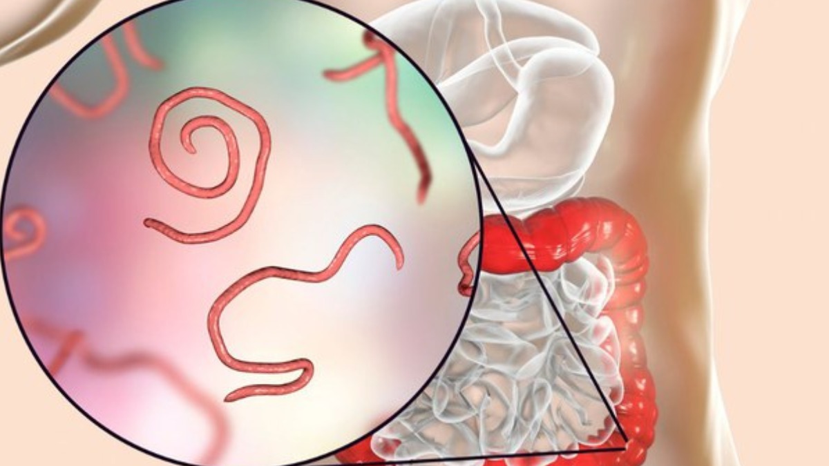 Você já ouviu falar no método