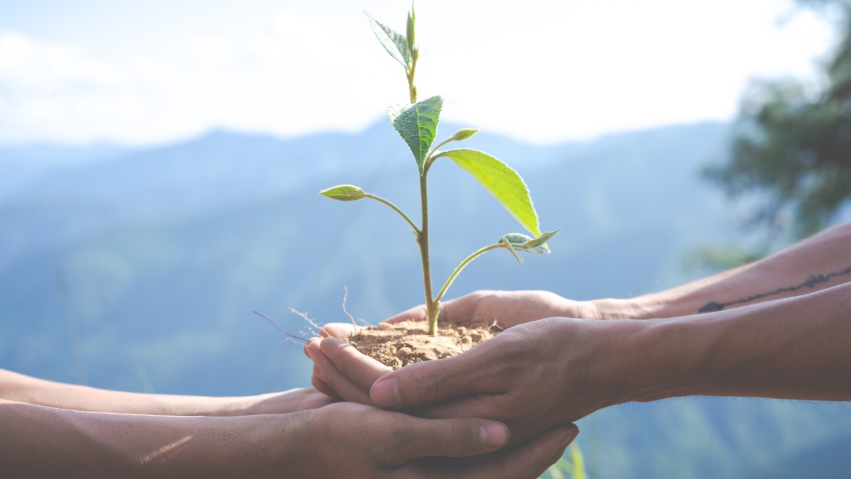 Dia Mundial do Meio Ambiente