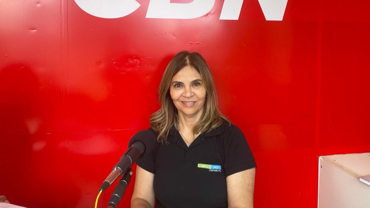 Linhas de financiamento