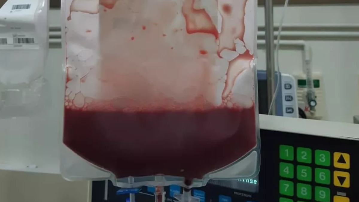 leucemia fevereiro laranja