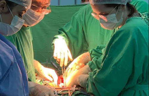 A importância da doação de órgãos