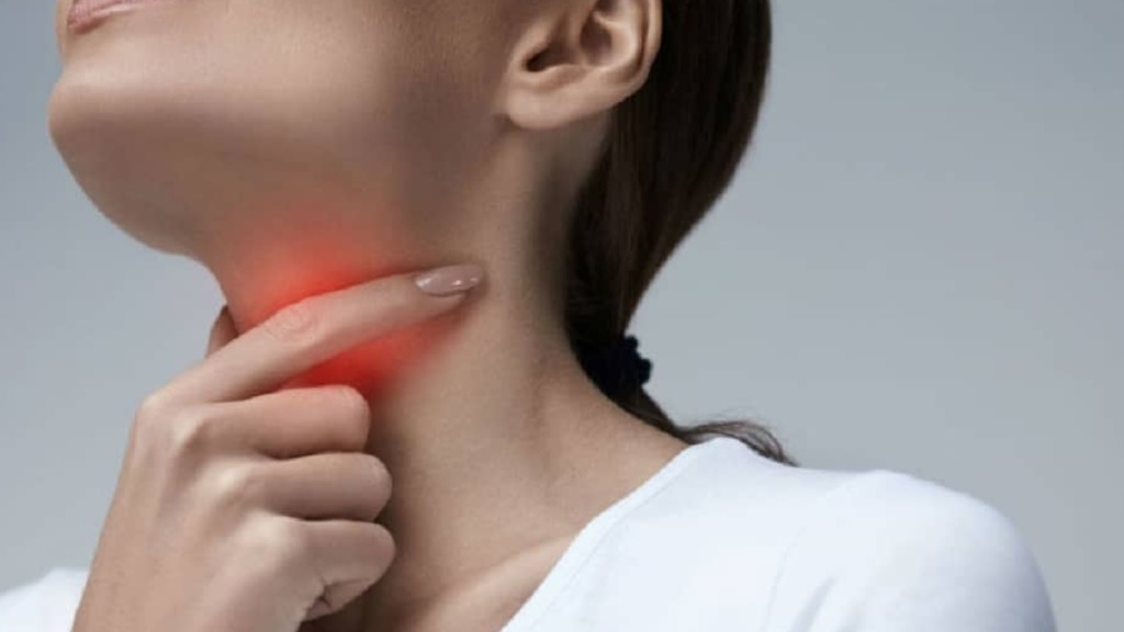 consumo excessivo de soja