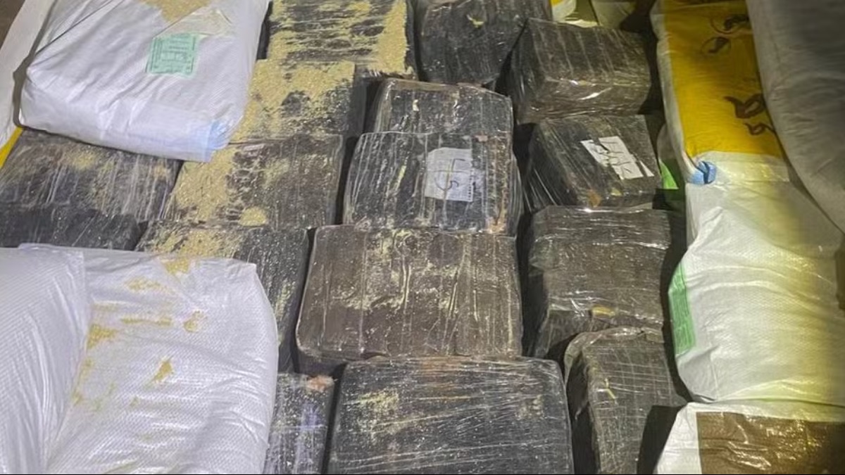 Operação da Polícia Civil termina com