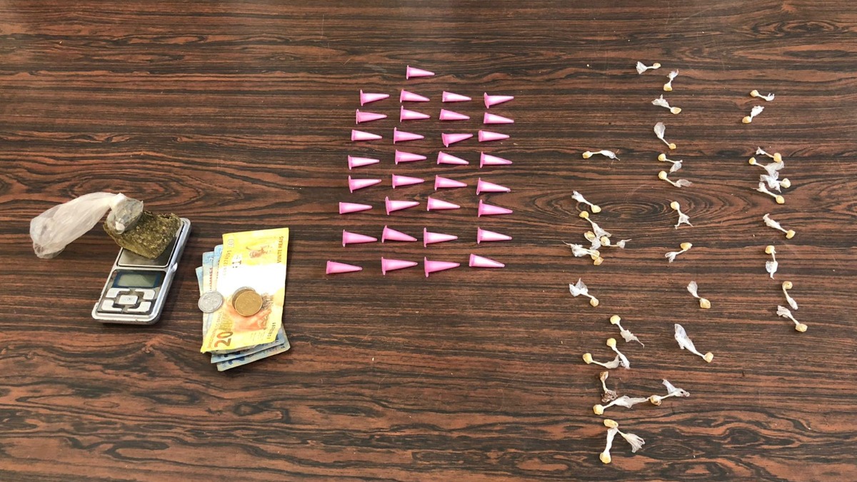 roubos e furtos de caminhonete