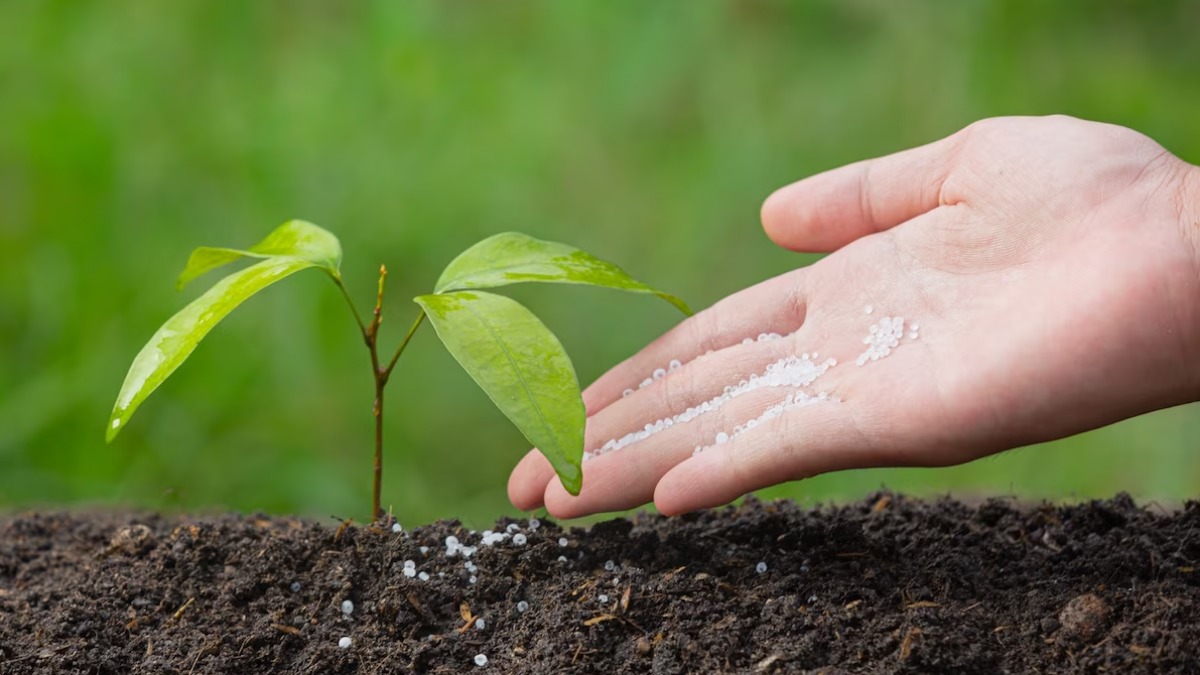 UFSCar desenvolve método para extrair potássio