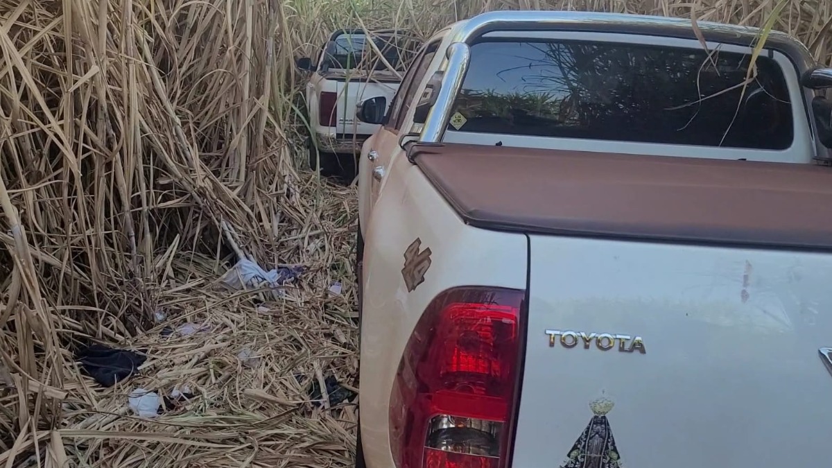 roubo de caminhonetes