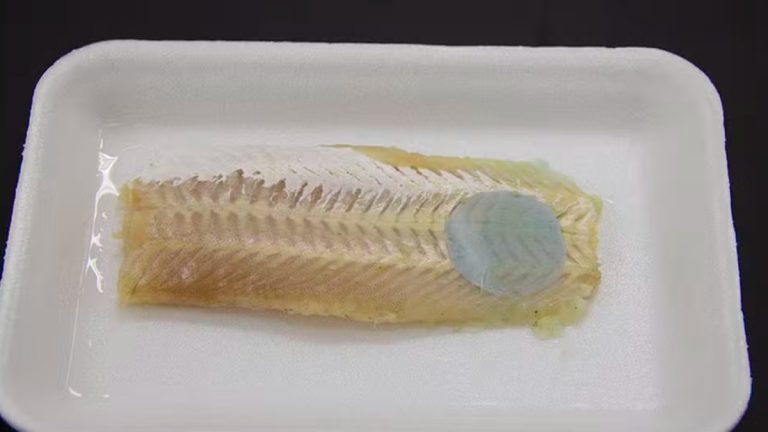 Embrapa desenvolve embalagem que mostra se