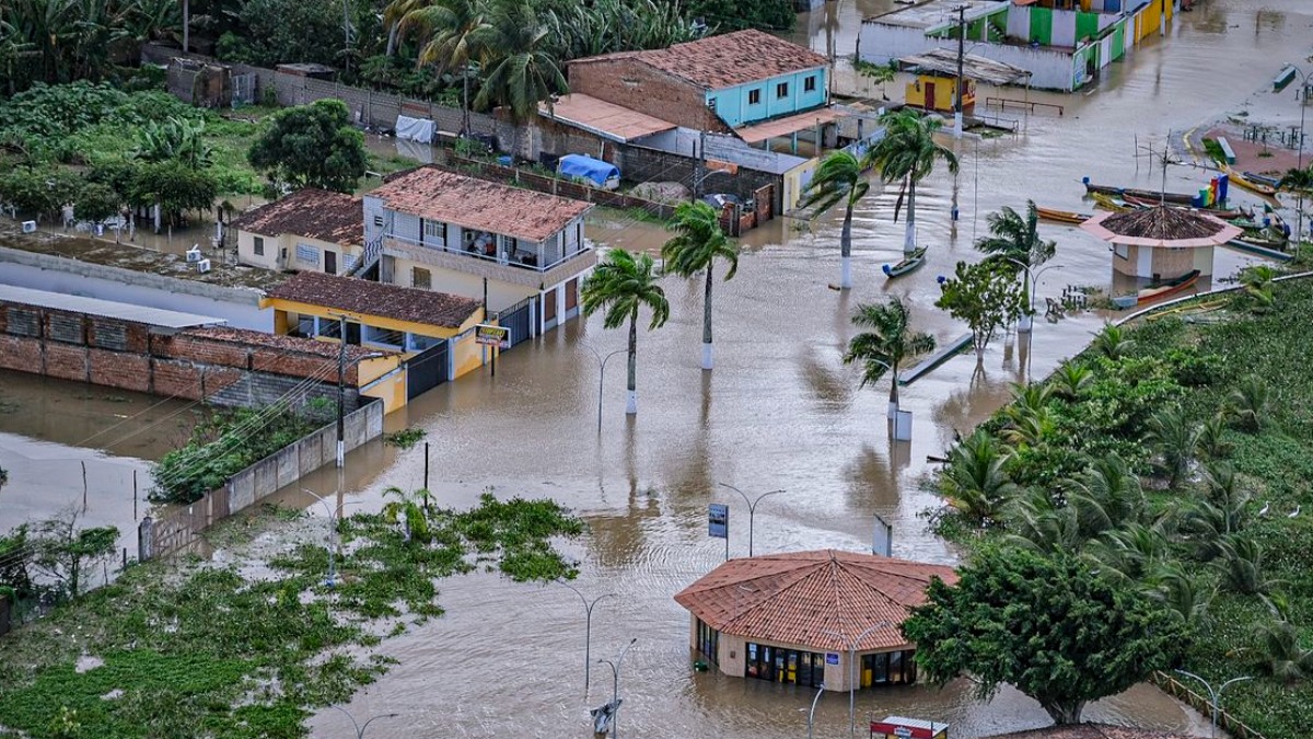 Ano de 2024 deve terminar como