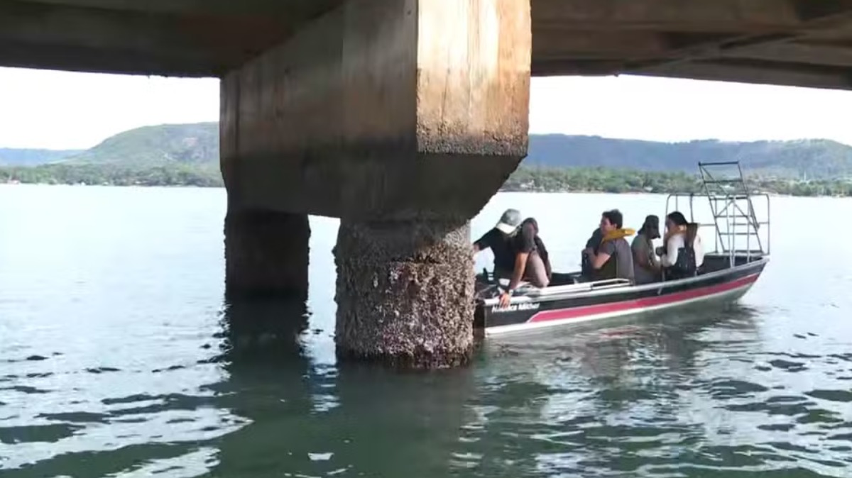 Ponte Rifaina Sacramento